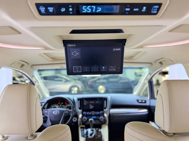 Toyota Alphard — Фото автомобиля 13