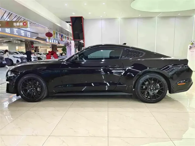 Ford Mustang — Фото автомобиля 15