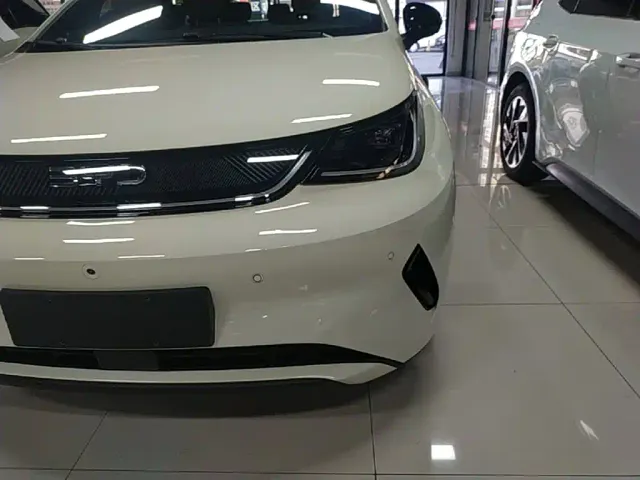 BYD Dolphin — Фото автомобиля 23