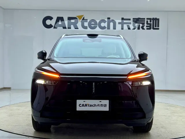 Wey Lanshan — Фото автомобиля 3