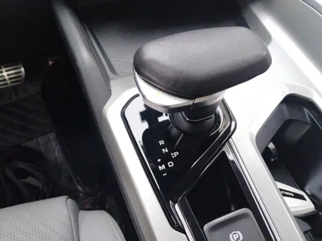 Geely Xing Rui 2021 Facelift 2.0TD Premium Model — Фото автомобиля 10