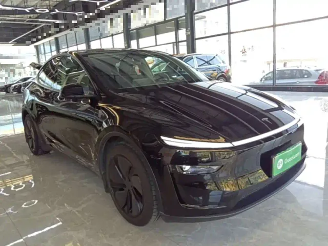 Tesla Model Y — Фото автомобиля 3