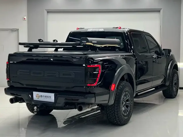 Ford F-150 Raptor — Фото автомобиля 19