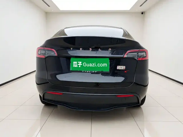 Tesla Model Y — Фото автомобиля 5