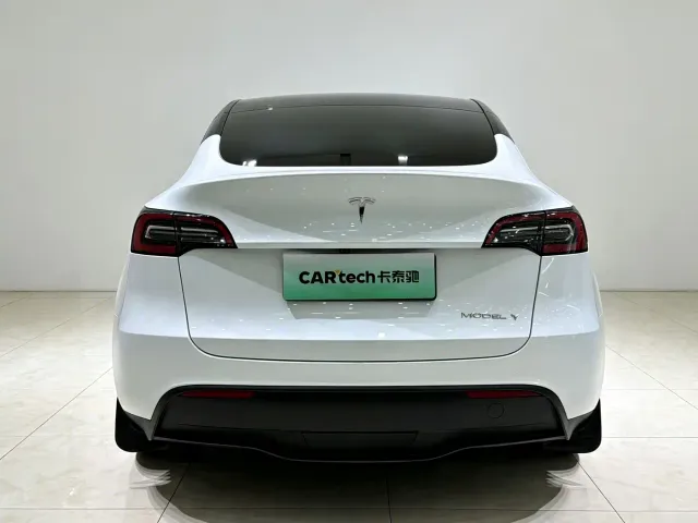 Tesla Model Y — Фото автомобиля 22