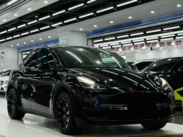 Tesla Model Y — Фото автомобиля 3