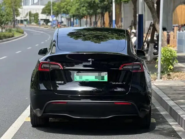 Tesla Model Y — Фото автомобиля 3