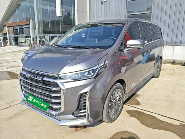Фотография автомобиля — Maxus G20