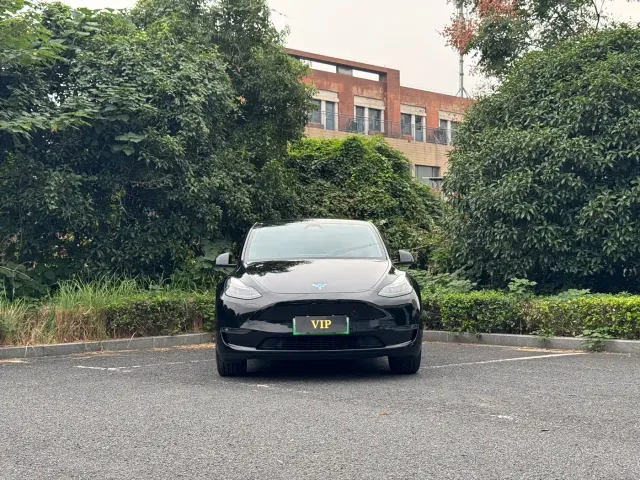 Tesla Model Y — Фото автомобиля 2