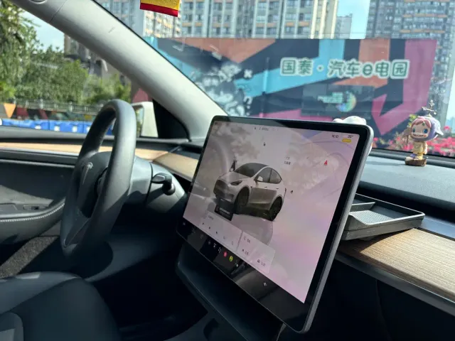 Tesla Model Y — Фото автомобиля 16