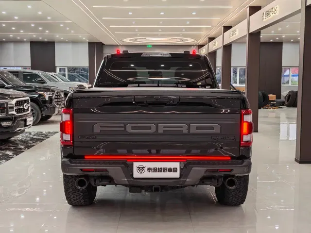 Ford F-150 Raptor — Фото автомобиля 10