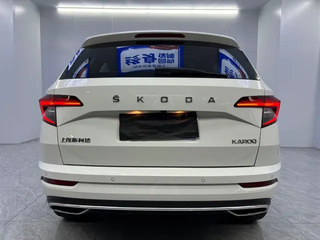 Skoda Karoq — Фото автомобиля 16