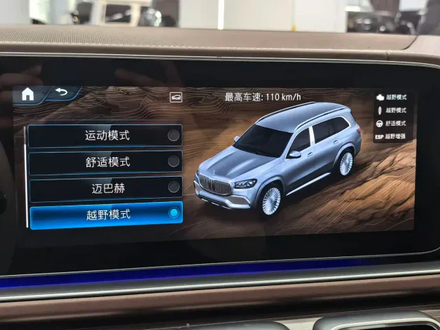Mercedes-Benz Maybach GLS — Фото автомобиля 18