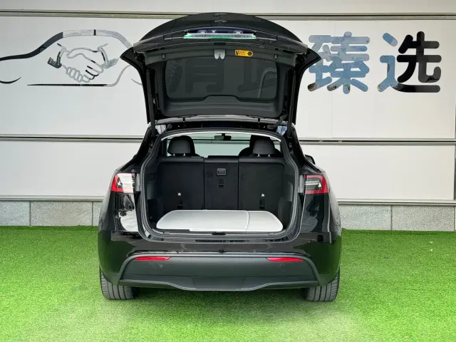 Tesla Model Y — Фото автомобиля 11