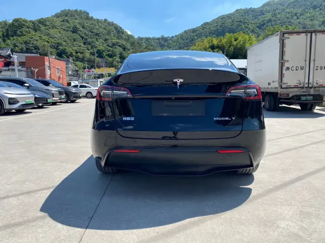 Tesla Model Y — Фото автомобиля 4