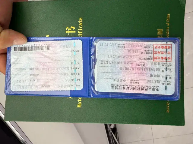 Volkswagen Lamando — Фото автомобиля 24
