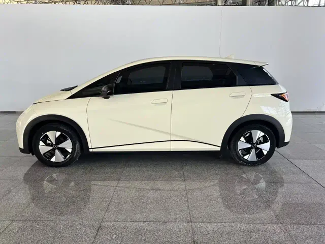 BYD Dolphin — Фото автомобиля 7