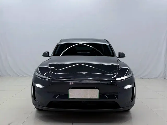 Tesla Model Y — Фото автомобиля 2
