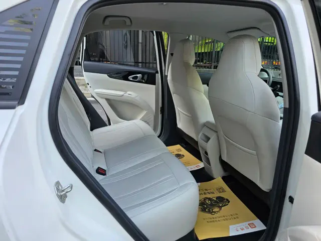 Geely Starry Wish — Фото автомобиля 14