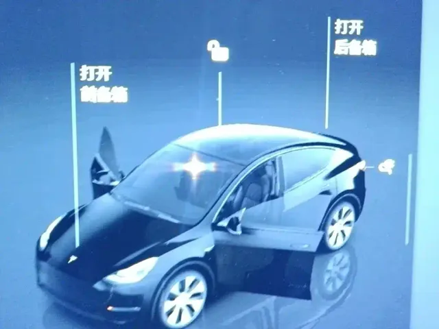 Tesla Model Y — Фото автомобиля 12