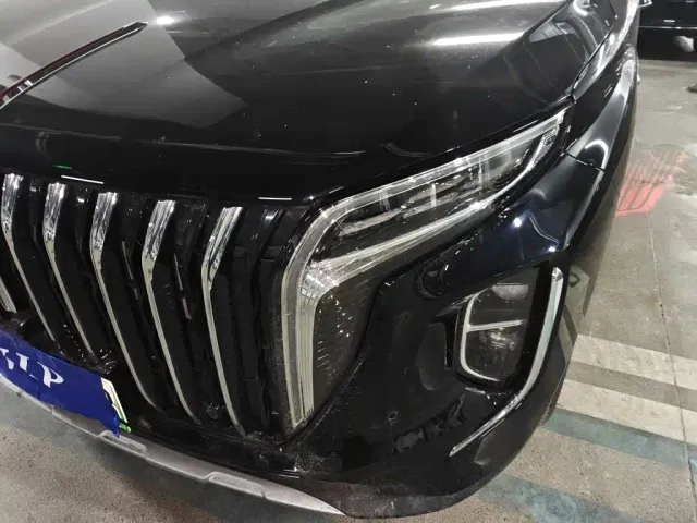 Hongqi HS7 PHEV — Фото автомобиля 18