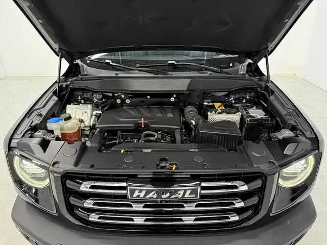 Haval Big Dog — Фото автомобиля 10