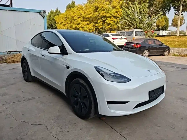 Tesla Model Y — Фото автомобиля 3