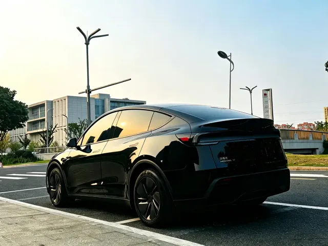 Tesla Model Y — Фото автомобиля 4