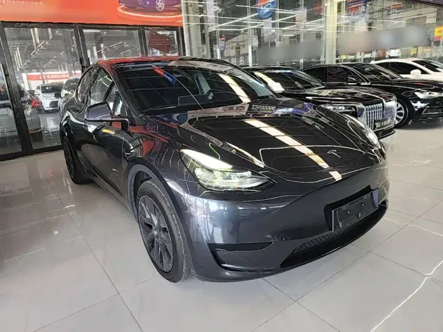 Tesla Model Y — Фото автомобиля 3