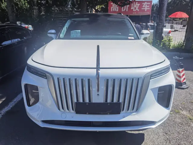 Hongqi E-HS9 — Фото автомобиля 2