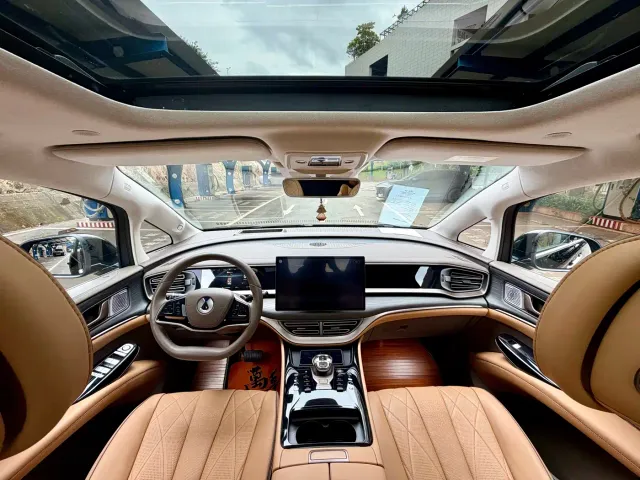 Denza D9 — Фото автомобиля 6