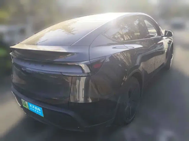 Tesla Model Y — Фото автомобиля 2