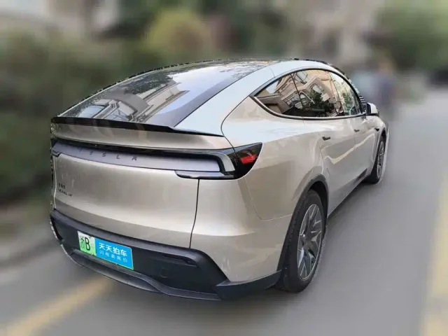 Tesla Model Y L — Фото автомобиля 5