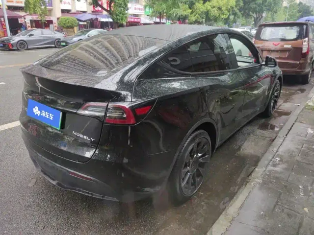Tesla Model Y — Фото автомобиля 3