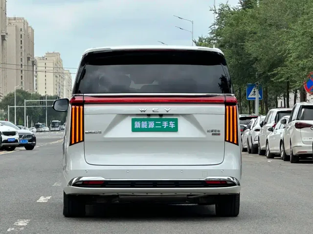 Wey Alpine — Фото автомобиля 8