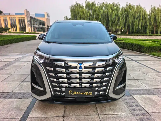 Фотография автомобиля — Denza D9