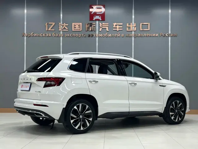 Skoda Karoq — Фото автомобиля 6