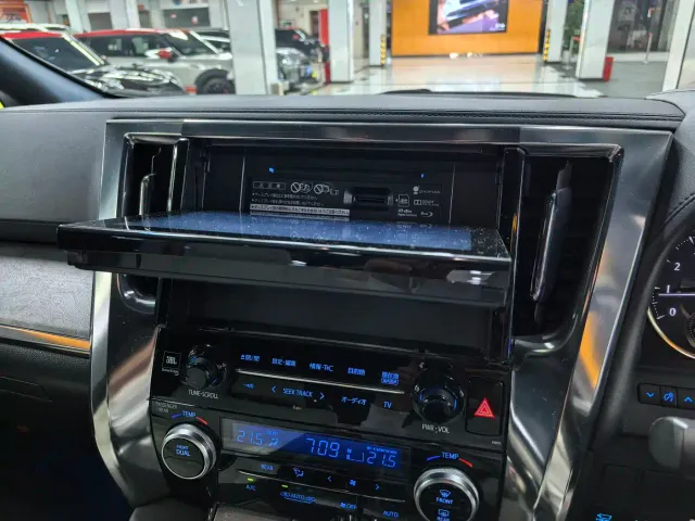 Toyota Alphard — Фото автомобиля 10