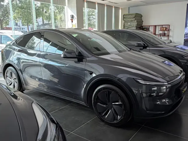 Tesla Model Y — Фото автомобиля 3