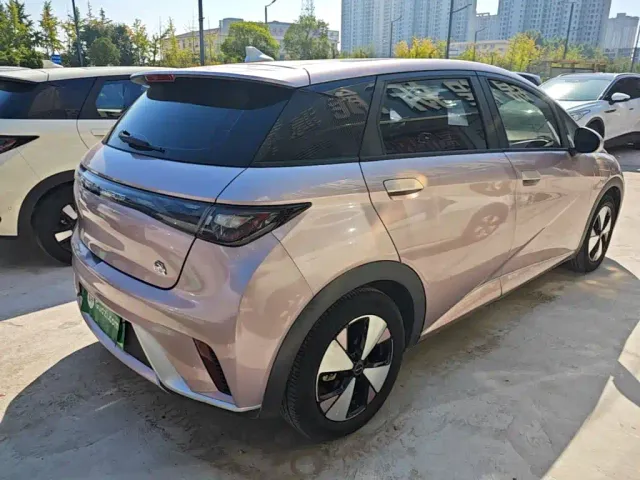 BYD Dolphin — Фото автомобиля 6