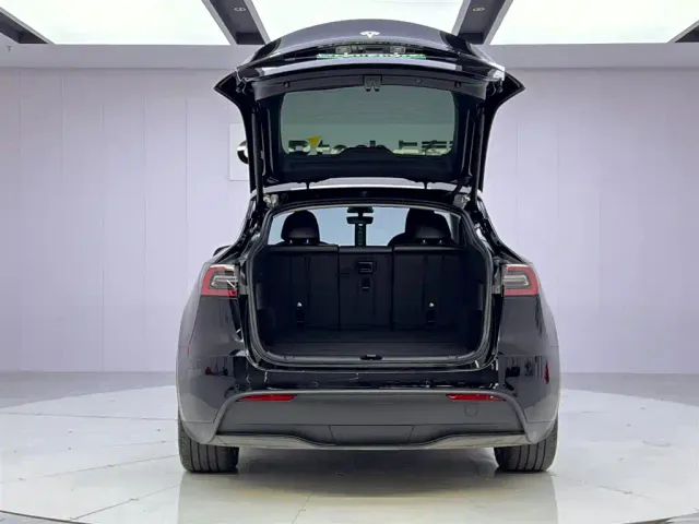Tesla Model Y — Фото автомобиля 9