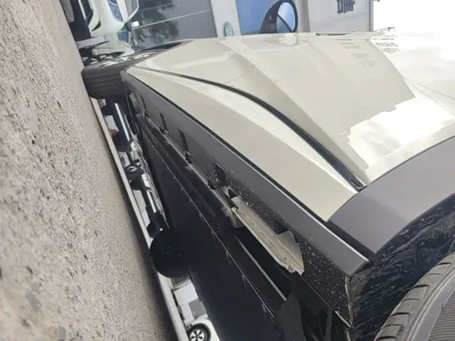BYD Dolphin — Фото автомобиля 21