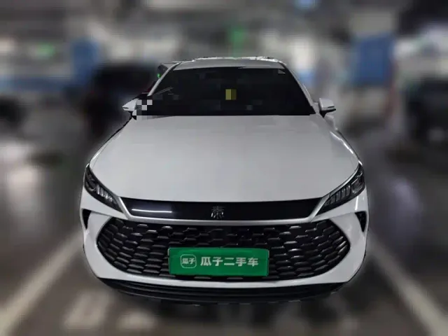 BYD Qin PLUS — Фото автомобиля 2