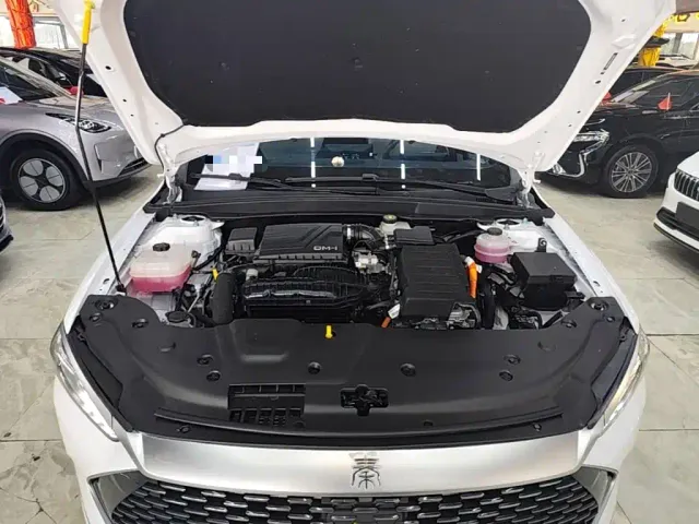 BYD Qin PLUS — Фото автомобиля 19