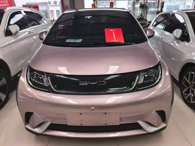 BYD Dolphin — Фото автомобиля 2