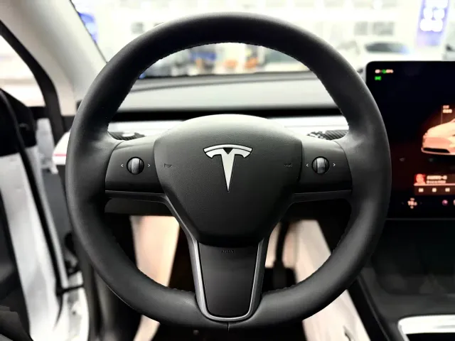 Tesla Model Y — Фото автомобиля 13