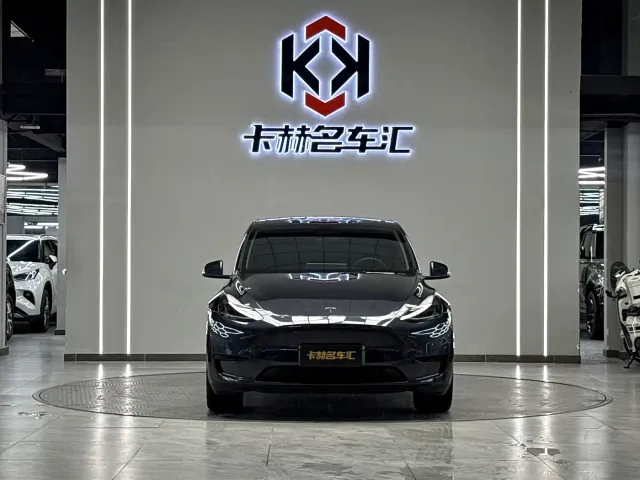 Tesla Model Y — Фото автомобиля 2