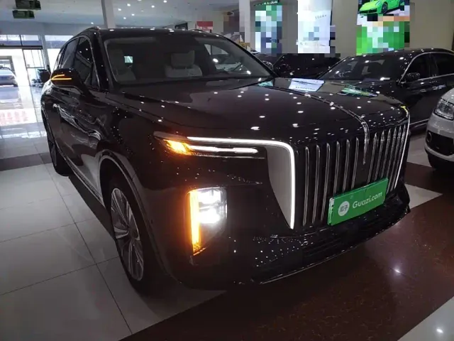 Hongqi E-HS9 — Фото автомобиля 3
