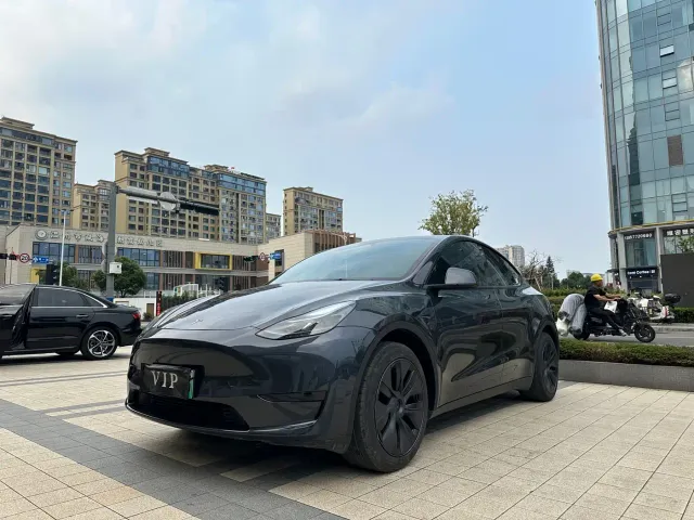 Tesla Model Y — Фото автомобиля 3