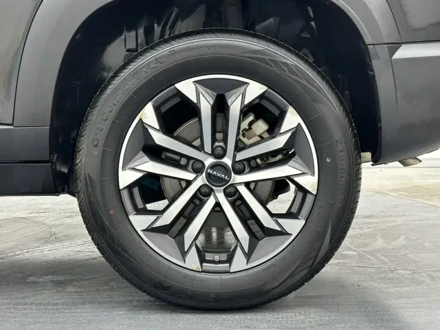 Haval Big Dog — Фото автомобиля 30